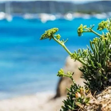 Cosy Proche Plage, - Fr-1-251-847 Apartment