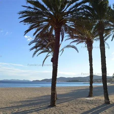 Cosy Proche Plage, - Fr-1-251-847 Le Lavandou